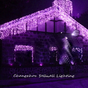 Wholesale NEW!Holiday light celebration decoration coloured lighting 1*6m purple H223