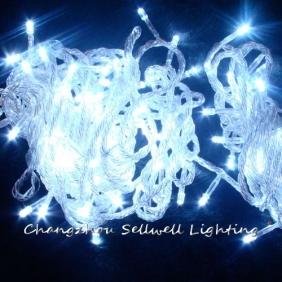 Wholesale GREAT!Holiday lighting wedding celebration yard decoration 10m lamp White H270(2)