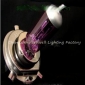Wholesale GOOD!Auto headlight bulb purple angle H4 12V 60/55W qc056
