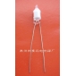 Wholesale Neon bulb ne-2g 5x13 Environmental Protection C079 NEW