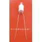 Wholesale Neon bulb ne-2g 6x13 C092 NEW