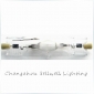 Wholesale NEW!Projector 175W/R7S 10000k Special Metal Halide Lamp J035