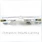 Wholesale GREAT!Projector 175W/R7S 10000k Special Metal Halide Lamp J041