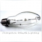 Wholesale GREAT!MH35W/ED54/4200K Efficient metal halide lamp J077